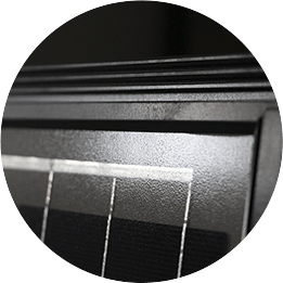 jinnianhui�����