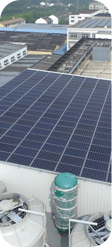 jinnianhui�����